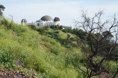 Los Angeles tepelerinin manzarası, Griffith Park