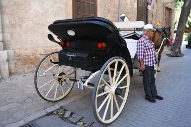 Bir faytoncuyla at arabasının görüntüsü