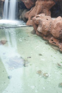 Havuzun yanındaki küçük şelaleye bak.