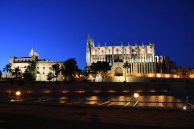 Palma De Mallorca İspanya 'daki Palma Kilisesi' nin gece manzarası