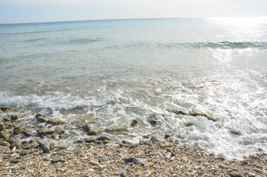 21 Eylül 2016 'da Hollanda' daki Güzel Bonaire. Fotoğraf: Marty Jean-Louis