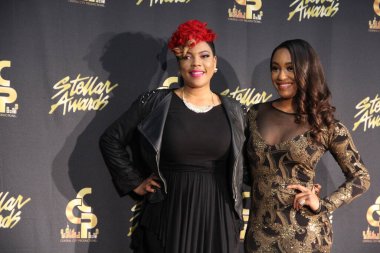 18 Ocak 2014 'te Nashville Tennessee' de düzenlenen 29.