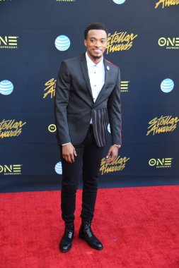 24 Mart 2018 Cumartesi günü Las Vegas 'taki Orleans Resort' ta düzenlenen 33. Yıldız Ödülleri Kırmızı Halı sırasında ünlüler.