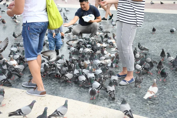Vista Sobre Praça Principal Onde Pessoas Alimentam Pombos — Fotografia de Stock