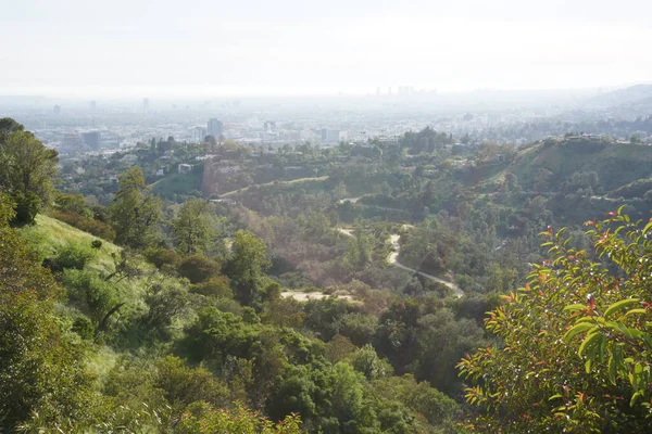 Los Angeles tepelerinin manzarası, tepeler ve şehirler arasındaki yollar.