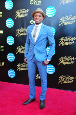 20 Şubat 2016 'da Las Vegas' taki Orleans Arena 'da düzenlenen 31. Yıldız Ödülleri sırasında kırmızı halı..  