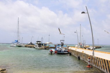 Güzel Costa Maya Meksika 29 Mayıs 2014