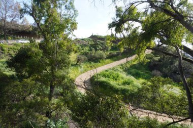 Los Angeles tepelerinin manzarası, tepelerin arasındaki yollar. 