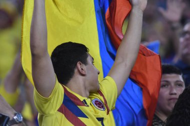 ABD Kolombiya 'ya karşı Raymond James Stadyumu' nda 11 Ekim 2018 'de.  