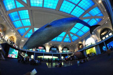 22 Mayıs 2016 'da New York' un geniş açı görüntüsü. 