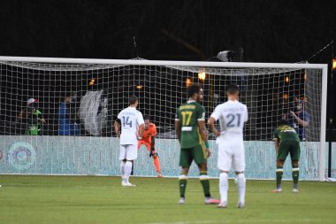Los Angeles Galaksisi, 14 Temmuz 2020 'de Orlando Florida ABD' deki ESPN Vahşi Spor Dünyası 'nda düzenlenen MLS Sırt Turnuvası sırasında Portland Timbers ile karşı karşıya geldi.