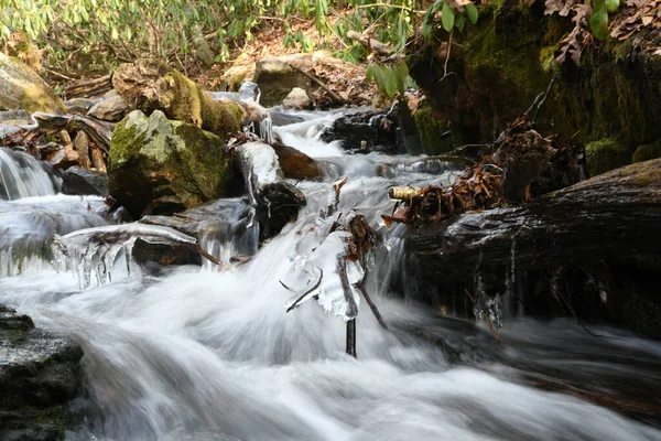 Maggie Vadisi, Kuzey Carolina 'da kış.