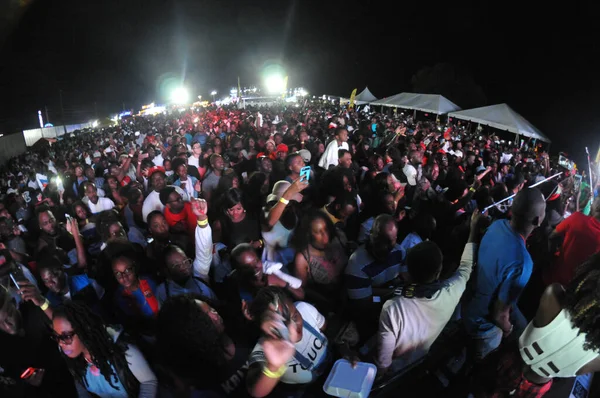 Orlando Caribbean Festival Março 2017 Florid Photo Credit Marty Jean — Fotografia de Stock