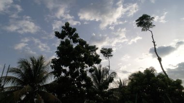 Kabare Haiti (8 Ağustos 2018) 