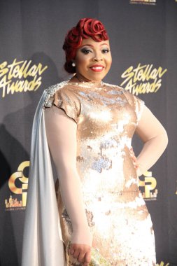 18 Ocak 2014 'te Nashville Tennessee' de düzenlenen 29.. 