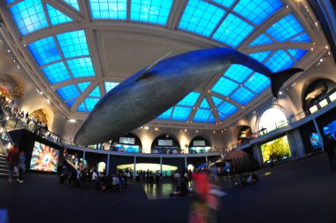 22 Mayıs 2016 'da New York' un geniş açı görüntüsü. 