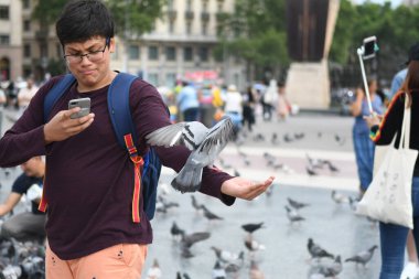 İnsanların güvercinleri beslediği ana meydanı görün