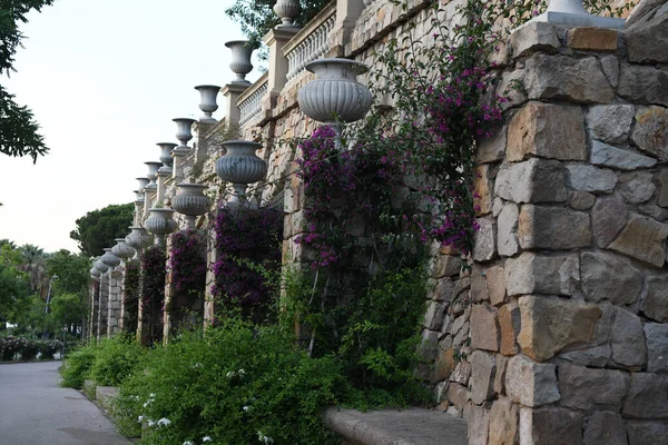 Vista Pared Con Hermosas Plantas Flores — Foto de Stock