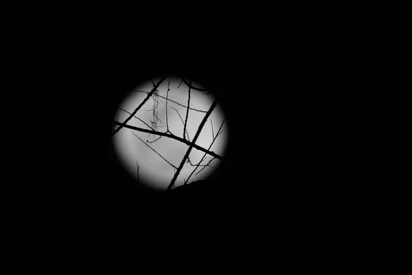 Hermosa Vista Luna Llena Cielo Nocturno — Foto de Stock