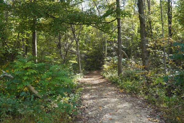 Beautiful View Park Trail — Stock Photo, Image