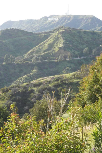 Uitzicht Heuvels Van Los Angeles Wegen Tussen Heuvels Hollywood Hill — Stockfoto