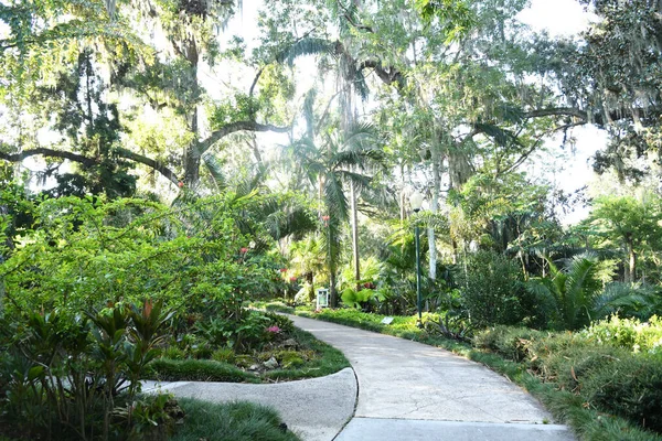 Lew Garden Orlando Florida — Stockfoto