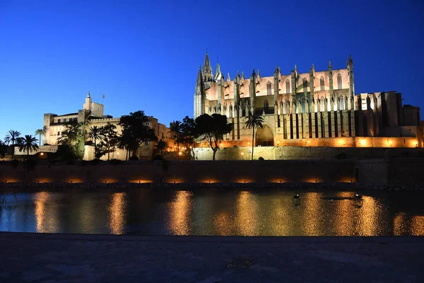 Nattutsikt Över Palma Kyrka Palma Mallorca Spanien — Stockfoto