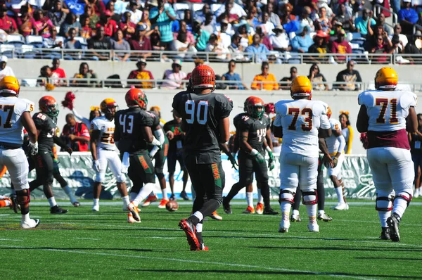 Florida Rattlers Affronta Bethune Cookman Wildcats Durante Classici Della Florida — Foto Stock