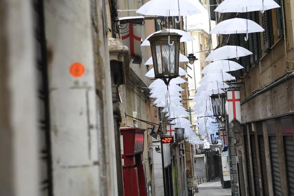 Ombrelli Bianchi Nella Bellissima Città Genova — Foto Stock