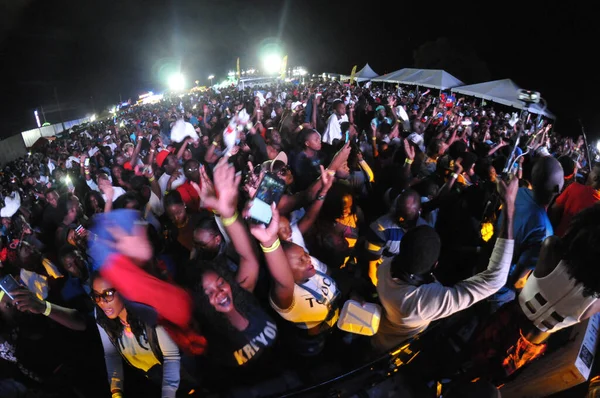 Orlando Caribbean Festival Den Mars 2017 Florid Photo Credit Marty — Stockfoto