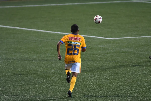 Atlanta United sunucusu Tigres & MLS Homegrown takımları 31 Temmuz 2018 'de Atlanta, Georgia' da düzenlenen MLS All Star haftasında.