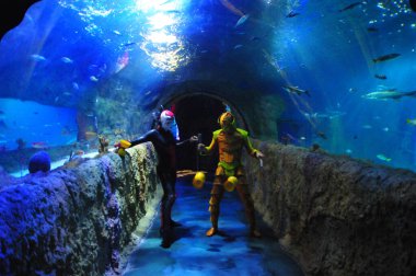 30 Ağustos 2016 'da Orlando Florida' daki güzel Orlando Eye 'daki Cirque du Soleil gösterisi.