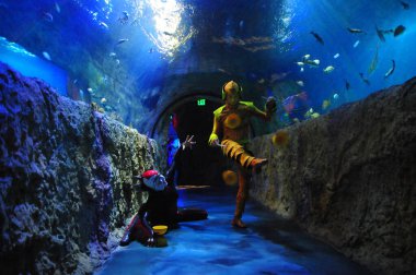 30 Ağustos 2016 'da Orlando Florida' daki güzel Orlando Eye 'daki Cirque du Soleil gösterisi.