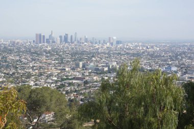 Los Angeles tepeleri, şehir manzarası