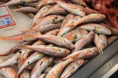 16 Mayıs 2014 'te Güzel Ventimiglia Şehri.  