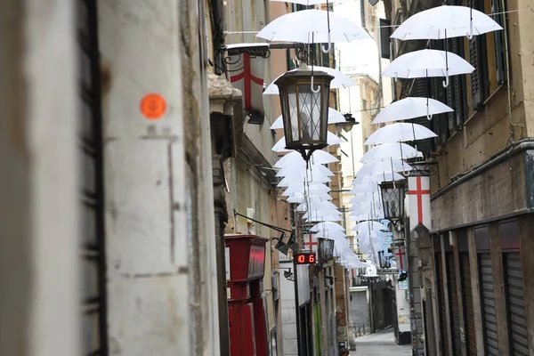 Vita Paraplyer Den Vackra Staden Genua — Stockfoto