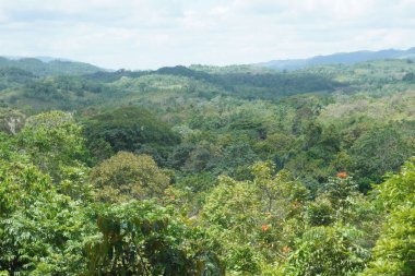 Doğal manzaranın güzel manzarası