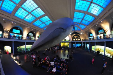 22 Mayıs 2016 'da New York' un geniş açı görüntüsü. 