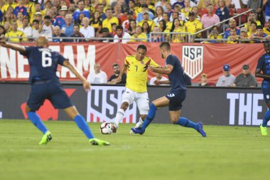 ABD Kolombiya 'ya karşı Raymond James Stadyumu' nda 11 Ekim 2018 'de.  