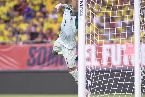 ABD Kolombiya 'ya karşı Raymond James Stadyumu' nda 11 Ekim 2018 'de.  