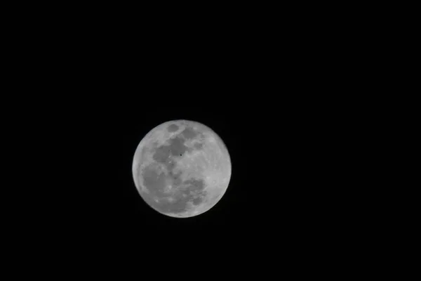 夜空中满月的美丽景色 — 图库照片