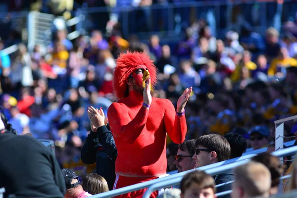 LSU, 31 Aralık 2016 tarihinde Orlando Florida 'daki Kamp Dünya Stadyumu' nda oynanan 71. Citrus Kupası 'nda Louisville ile karşılaşacak.. 