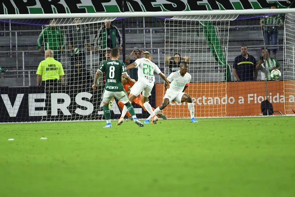 2018 Florida Cup 2020 Palmeiras Atletico Nacional Match Exploria Stadium — 스톡 사진