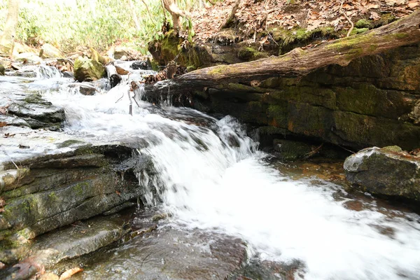 Zima Maggie Valley Karolina Północna — Zdjęcie stockowe