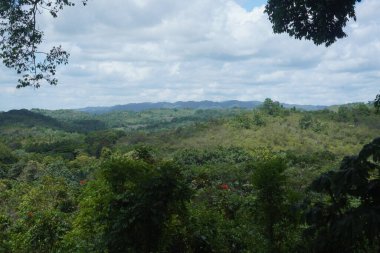 Doğal manzaranın güzel manzarası