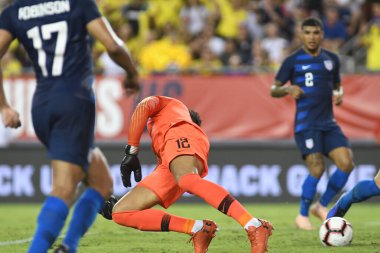 ABD Kolombiya 'ya karşı Raymond James Stadyumu' nda 11 Ekim 2018 'de.  