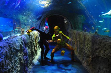 30 Ağustos 2016 'da Orlando Florida' daki güzel Orlando Eye 'daki Cirque du Soleil gösterisi.