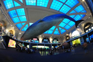 22 Mayıs 2016 'da New York' un geniş açı görüntüsü. 