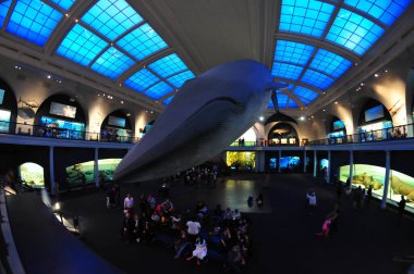 22 Mayıs 2016 'da New York' un geniş açı görüntüsü. 