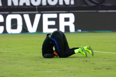 ABD Futbol Takımı 6 Eylül 2016 'da Jacksonville Florida EverBank Field' da Trinidad & Tobago 'ya ev sahipliği yaptı..